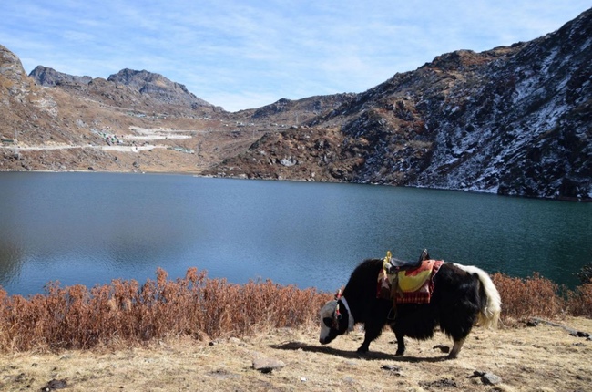 Splendours of Sikkim, the Shangri-la of the Himalayas