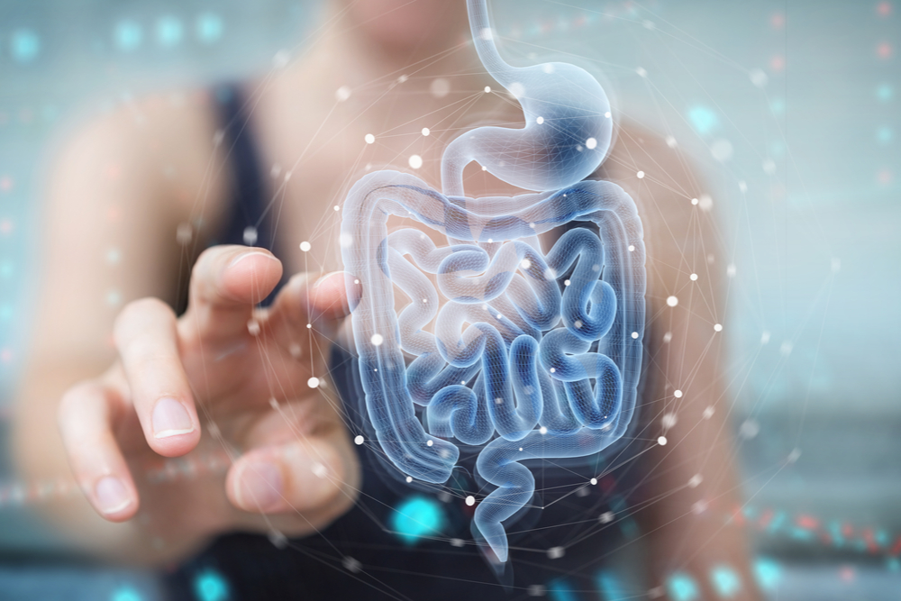 How the gut is the foundation of overall good health