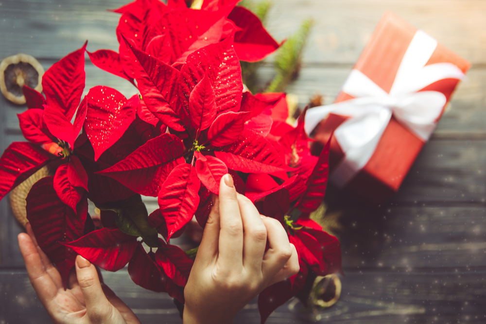 Whimsical Christmas Table Arrangement Workshop