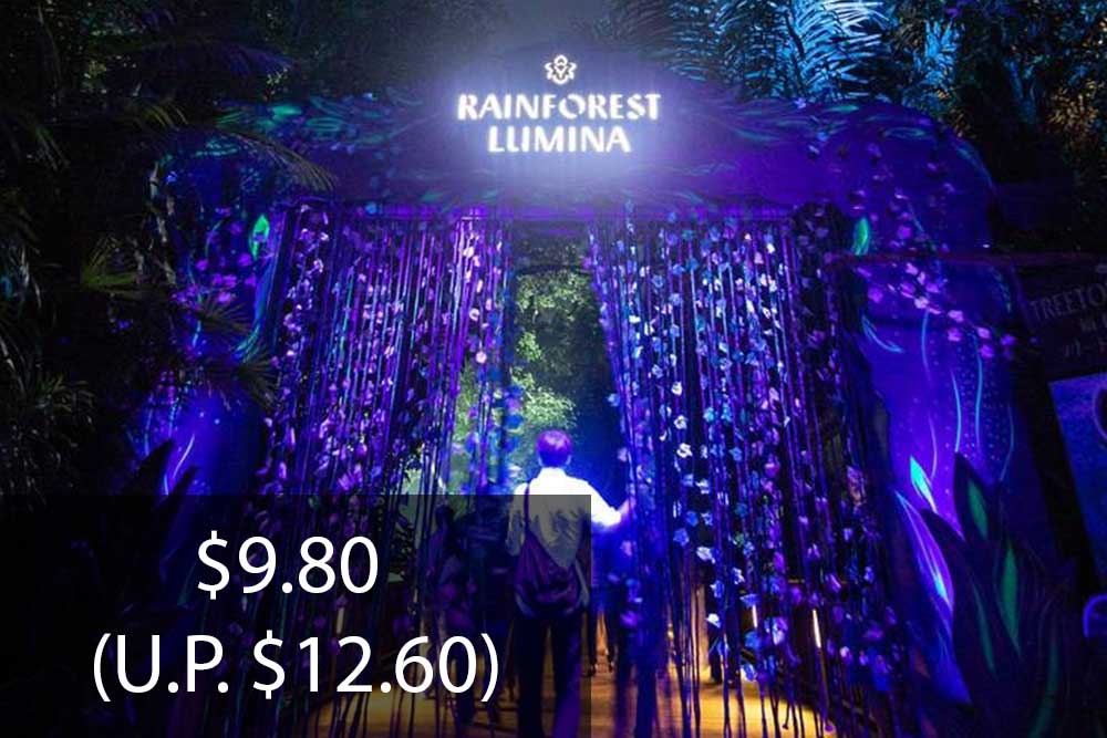 Rainforest Lumina at Singapore Zoo - Senior Discount for Singapore Residents