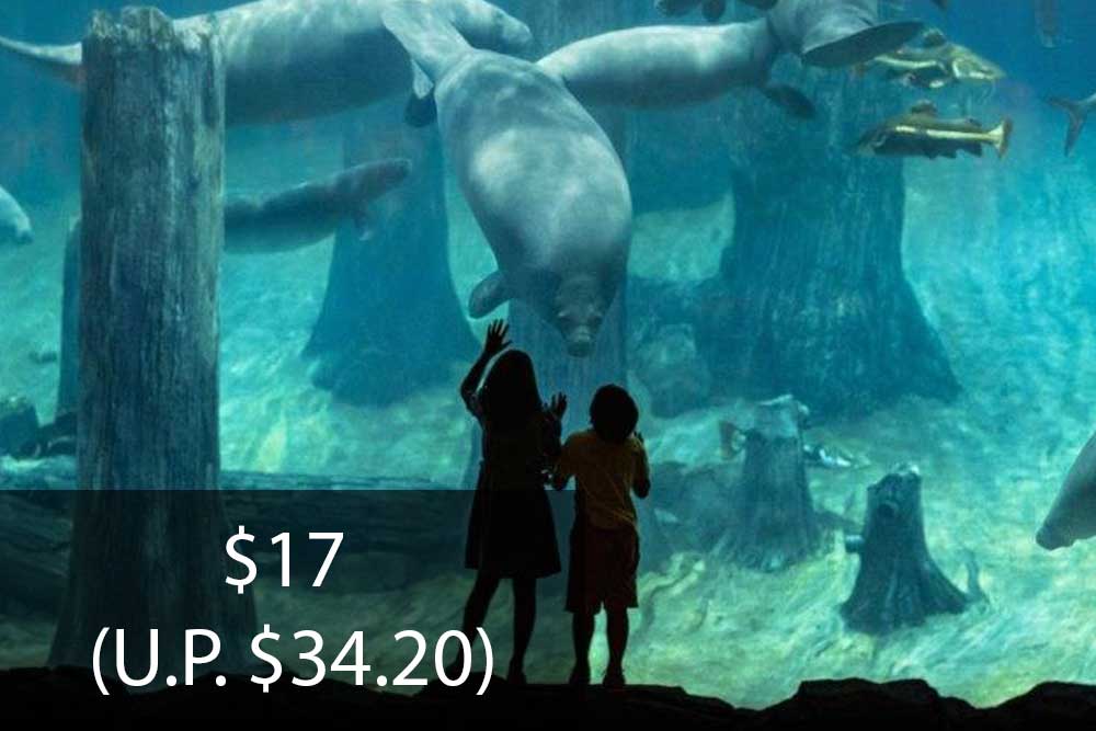 River Wonders Senior Discount for Singapore Residents