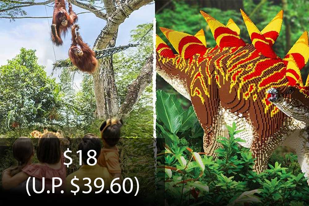 Singapore Zoo Senior Discount for Singapore Residents