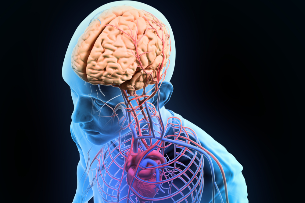 FREE Brain'n'Body Exercises for Seniors