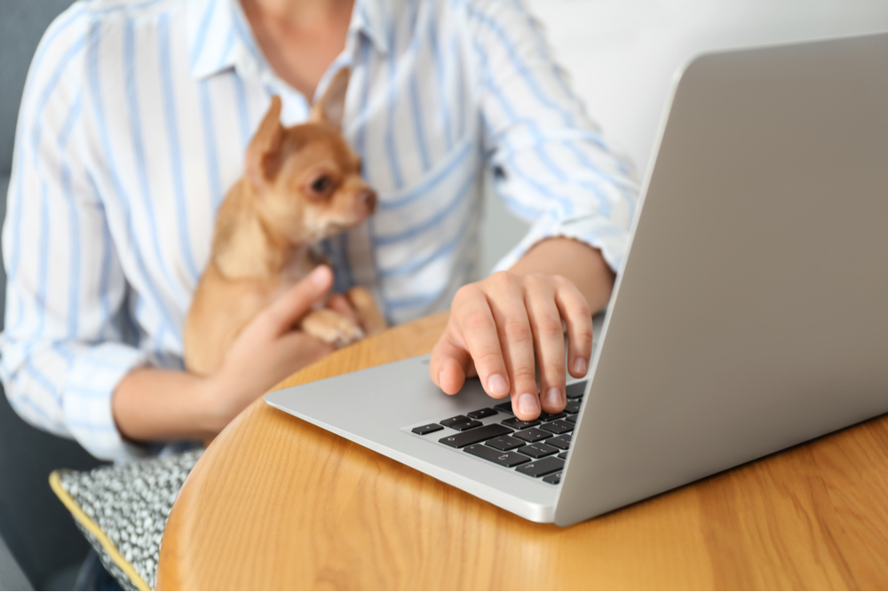 Working from home: How to stay secure online