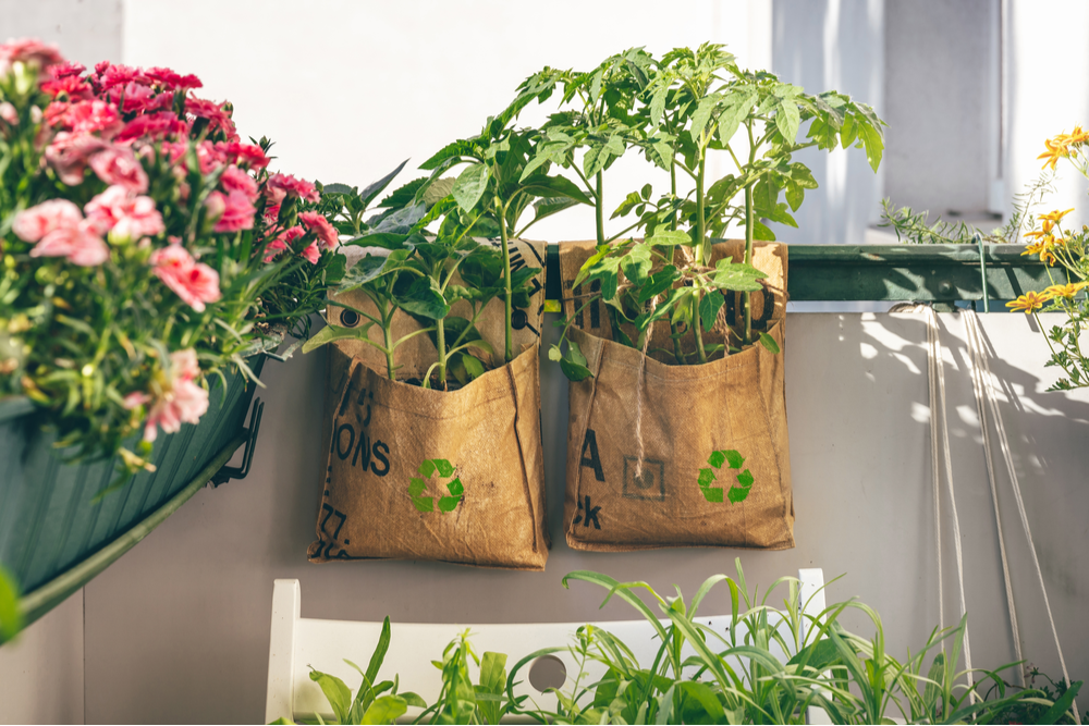 Thinker+ PLAY: Upcycle Plastic Bag Flowers | Mind Your Head x TOYL