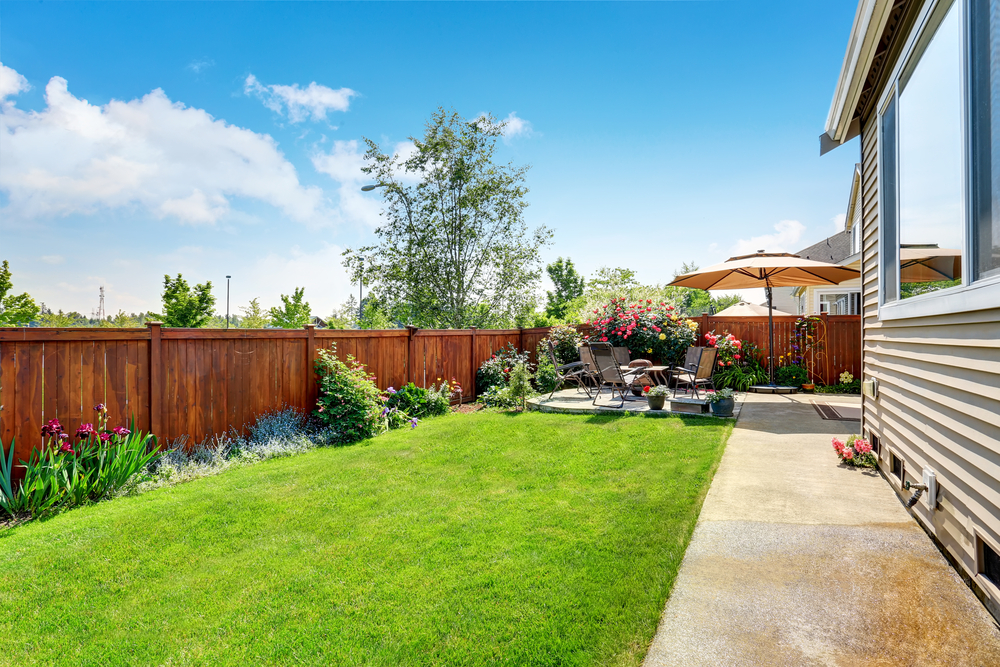 Setting Up Your Home Garden | Fundamentals of Urban Farming