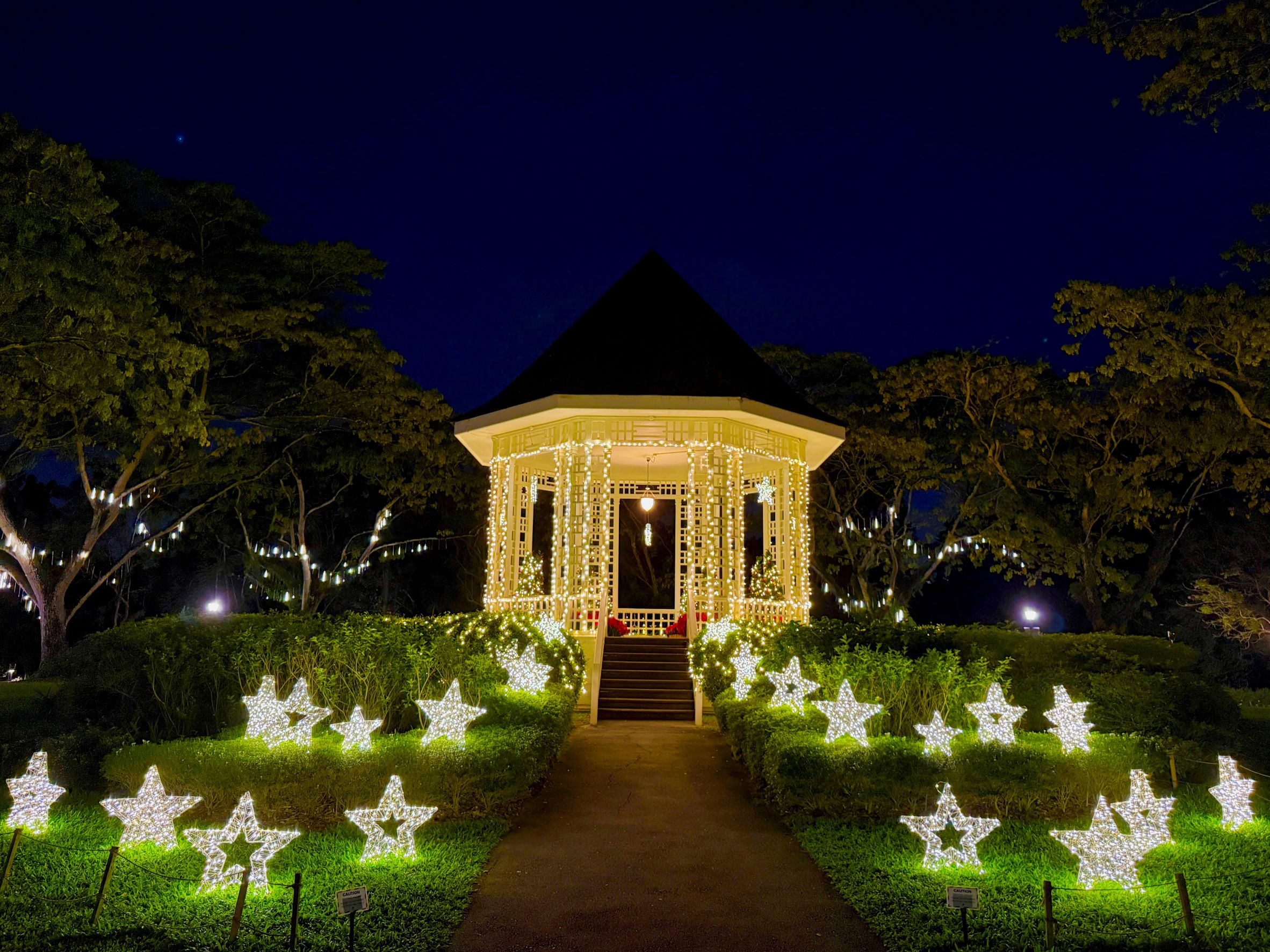 Trees of the World 2025