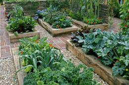 Best Fertilisers for Home-grown Edible Plants | Time of Your Life