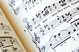 A Symphony of Passion