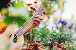 Temasek Foundation SSO Symphony in the Gardens