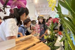 Orchid Discoveries: An Introduction to Orchid Hybridisation