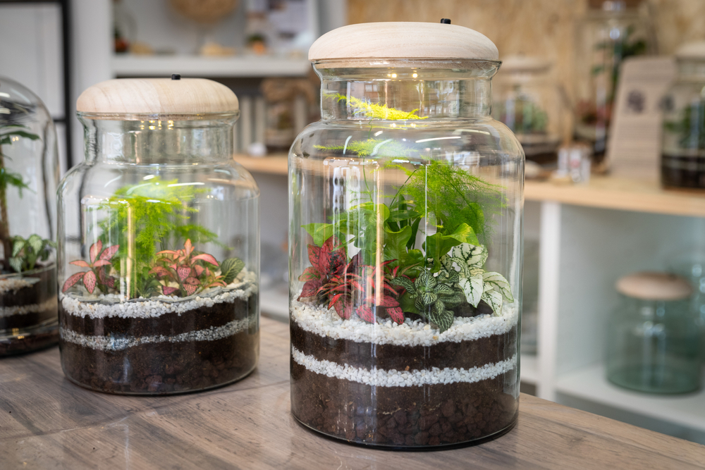 Closed Forest Terrarium